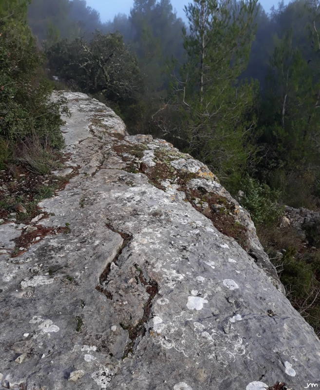 fente de tension falaise calcaire erosion