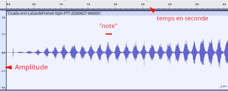 Sonogramme Sonogramme Audacity