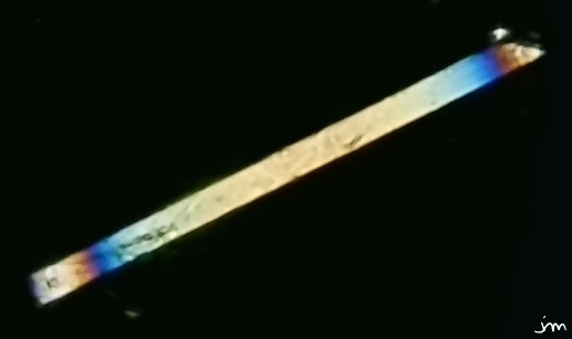 Cristal d'oxalate de calcium cristal oxalate calcium