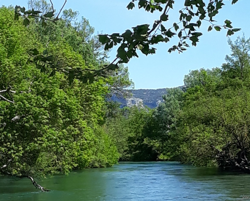 Partage des eaux de la Sorgue