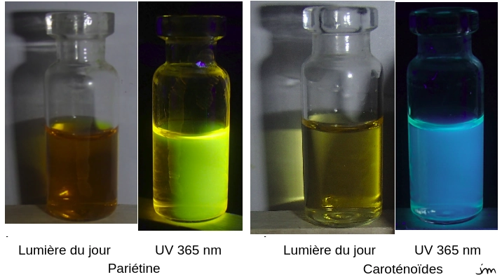 fluorescence UV pariétine carotène